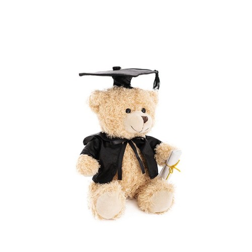 Graduation Teddy Bear